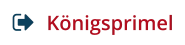 Königsprimel