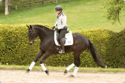 Dynamit a.d. Donjakina xx v. Zinad xx