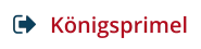 Königsprimel