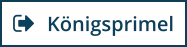 Königsprimel
