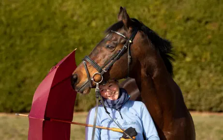 Romy mit Intendant xx v. Lando xx a.d. Incenza v. Local Suitor xx