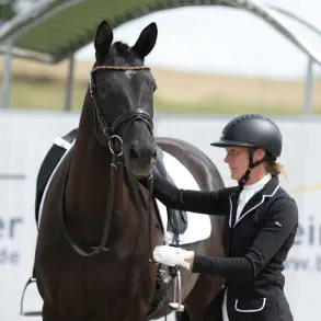 Romy mit Königsgarde - Trakehner Prämienstute v. Zauberreigen a.d. Königsfee v. E.H. Tambour