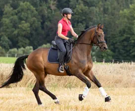 Romy und Namira