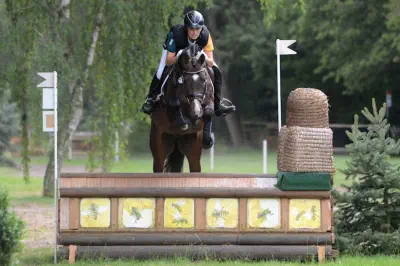 Bundeschampion der 6-jährigen Vielseitigkeitspferde 2016 - Königssee v. Interconti