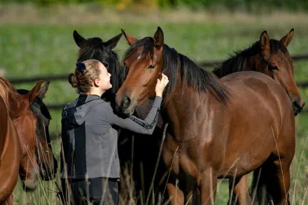 Trakehner - dem Menschen zugeneigt.
